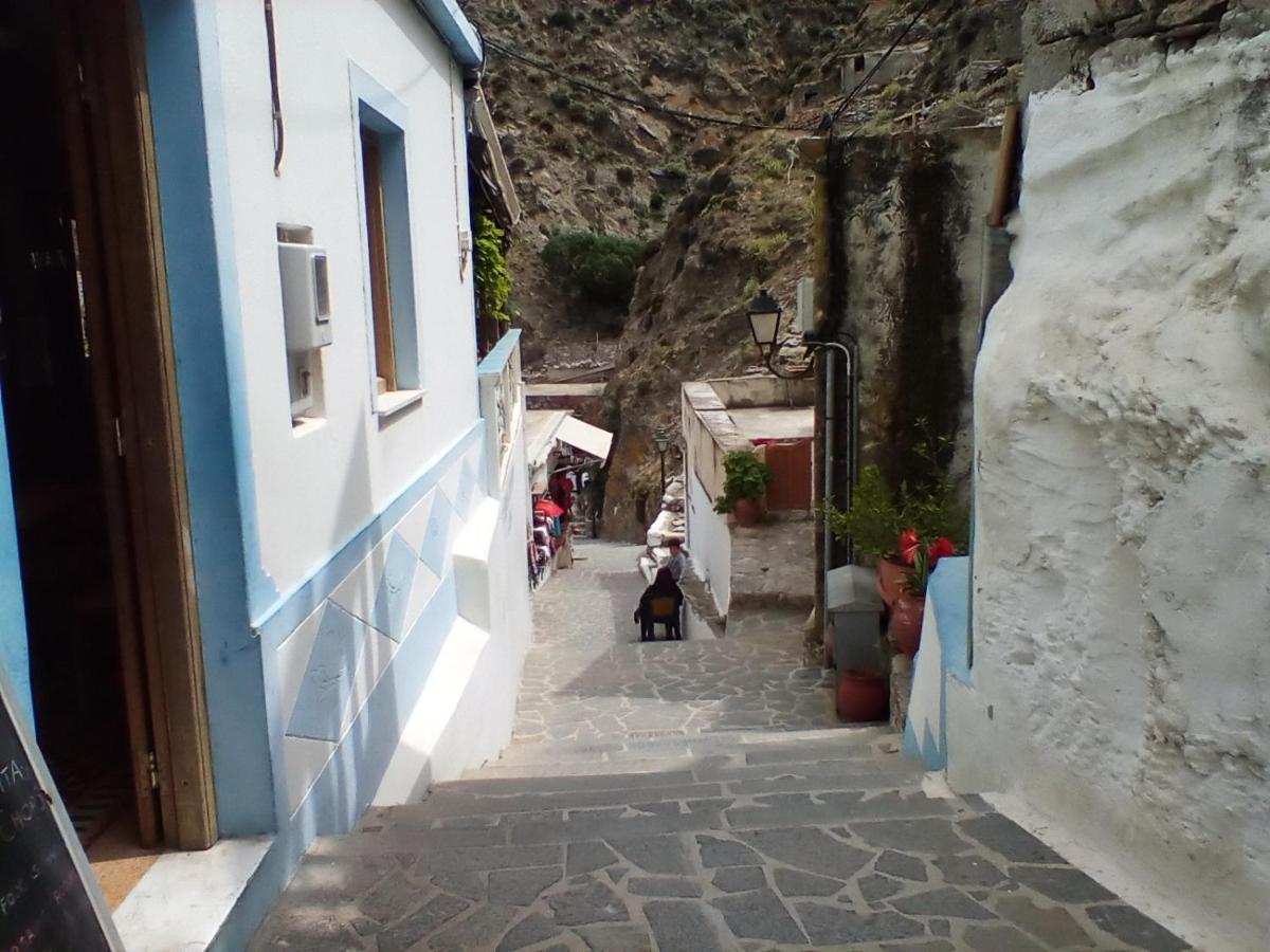 Olympos Apt With Amazing Mountain View Εξωτερικό φωτογραφία
